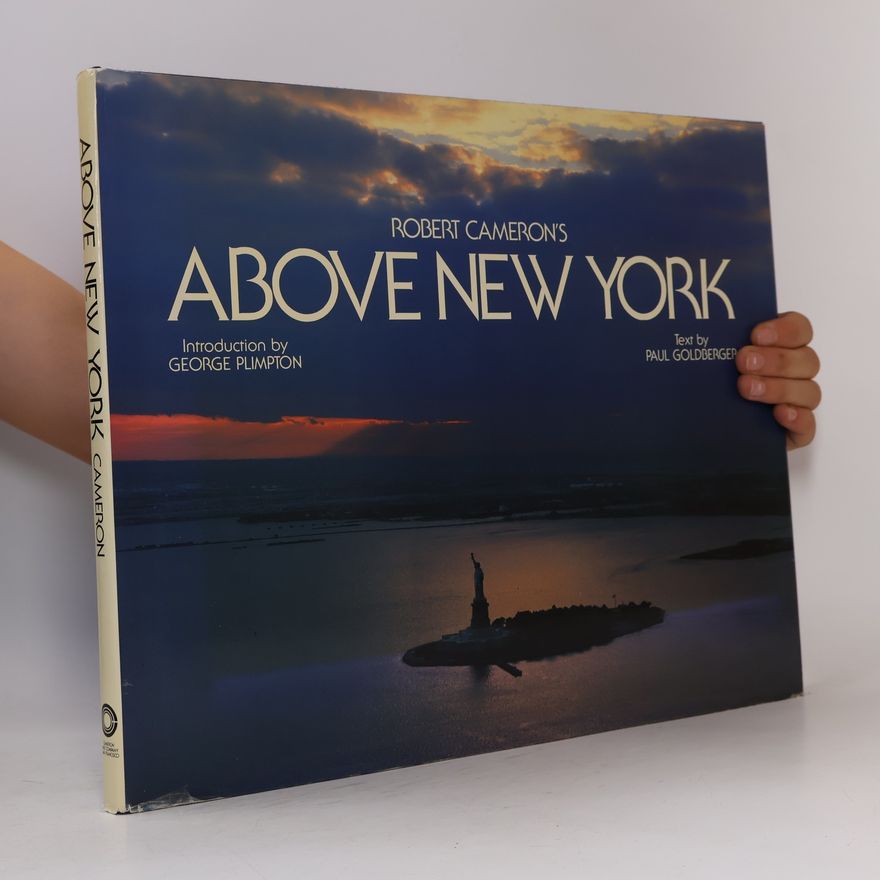 Cameron Robert Above New York