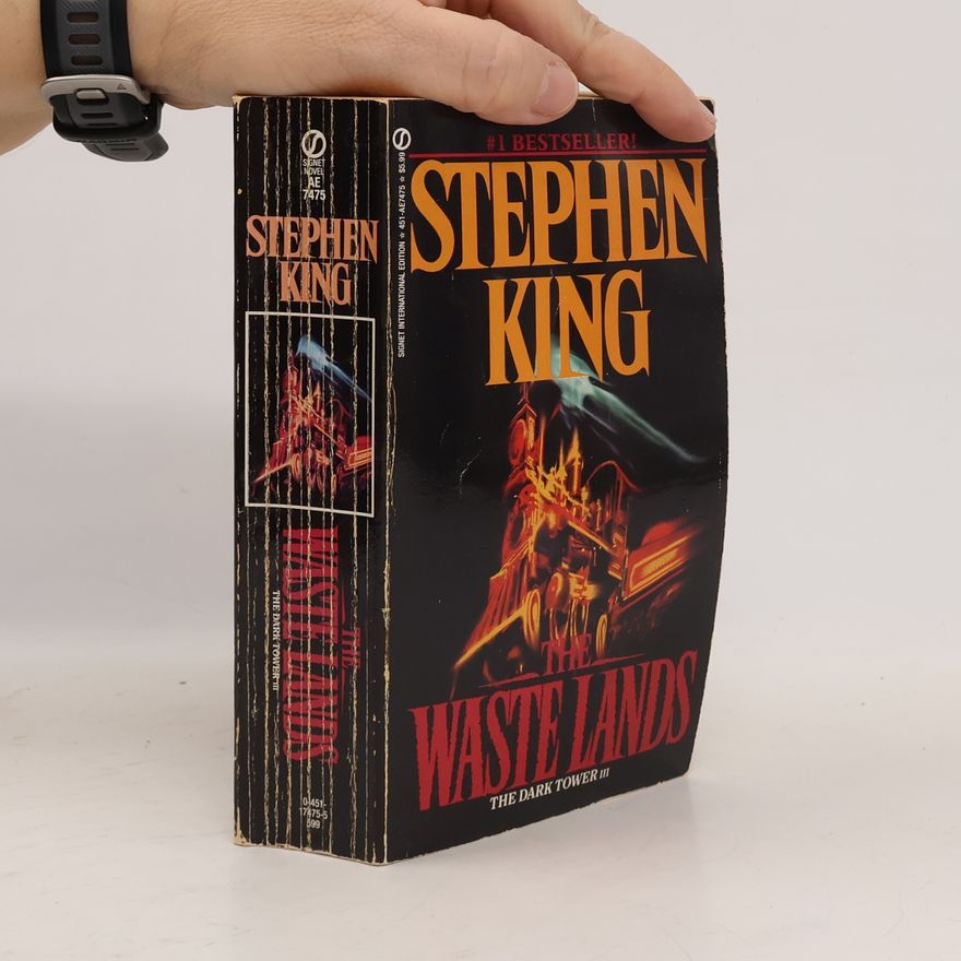 Stephen King The Dark Tower - 3: The Waste Lands
