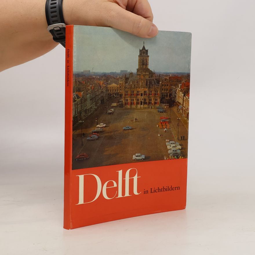 Jan H. Oosterloo Delft in Lichtbildern