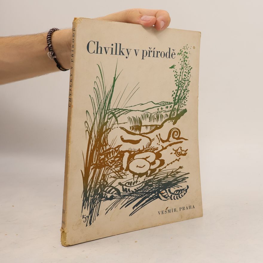 Jindřich Vichnar Chvilky v přírodě IV