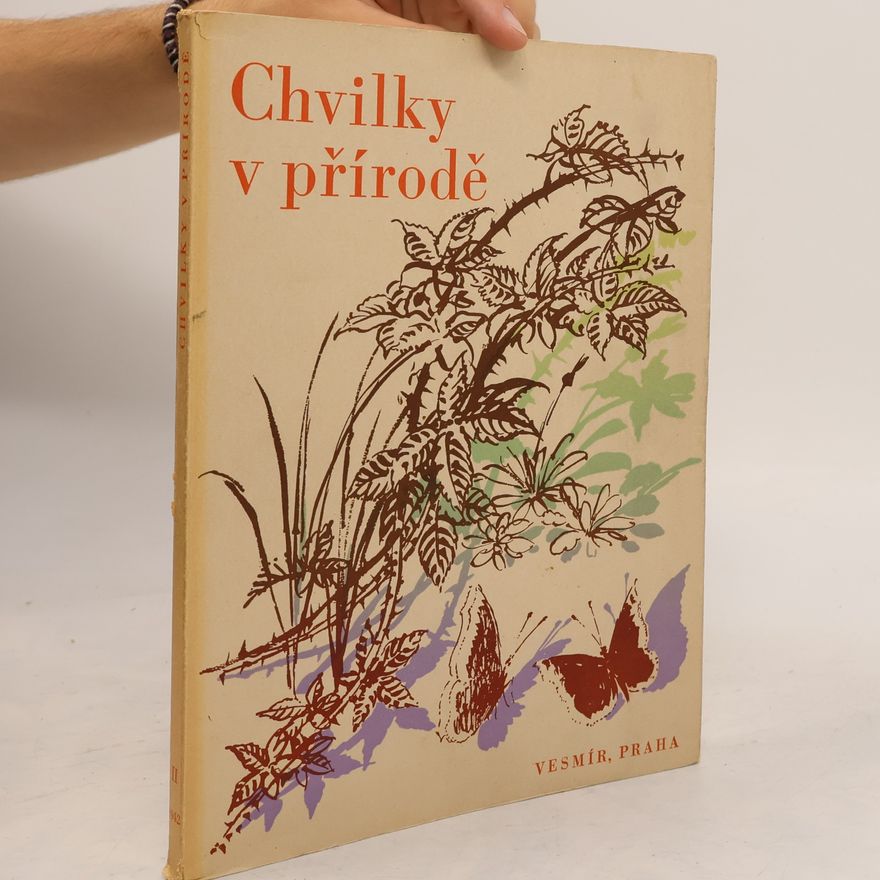 Kolektiv autorů Chvilky v přírodě
