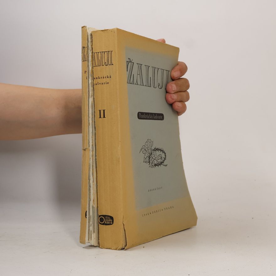 Autorenkollektiv Žaluji. Pankrácká kalvarie II
