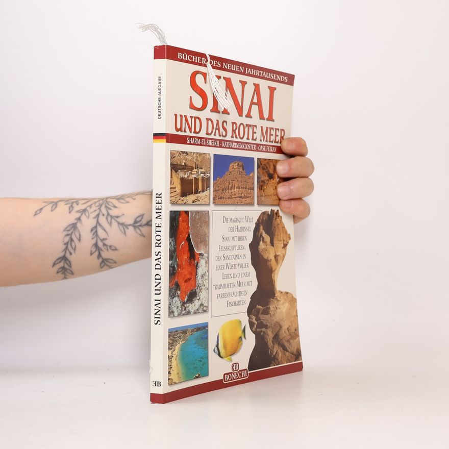 Giovanna Magi Sinai und das Rote Meer