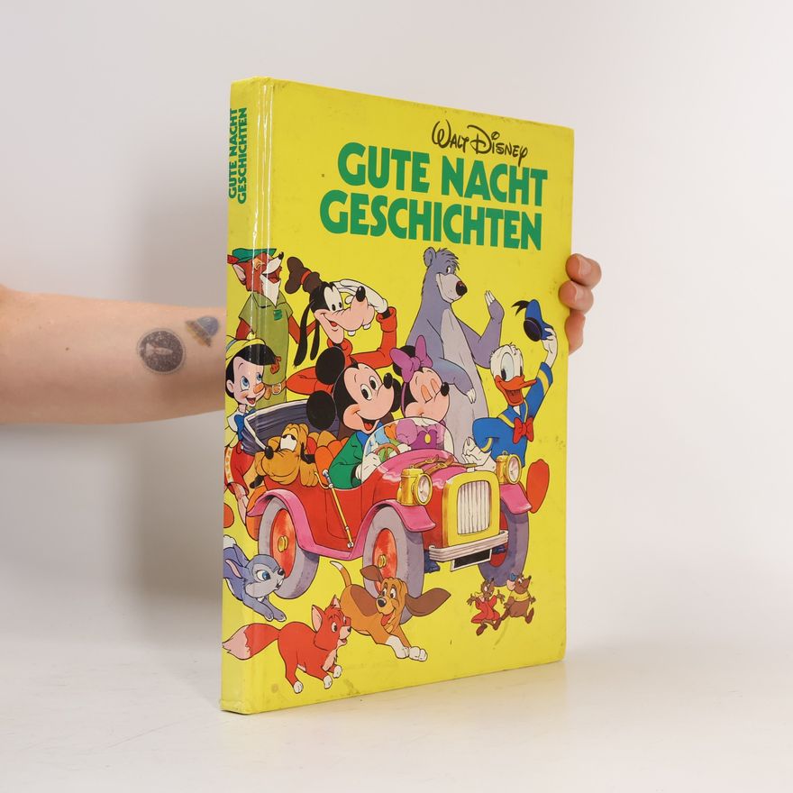 AA.VV. Gute Nacht Geschichten