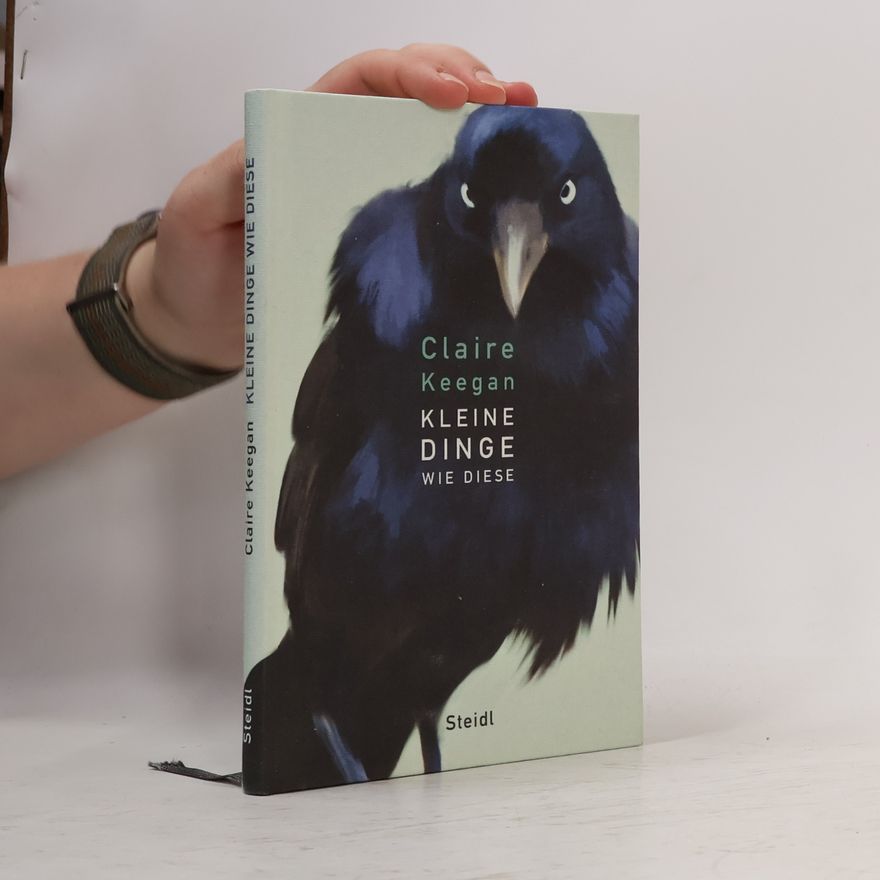 Claire Keegan Kleine Dinge wie diese