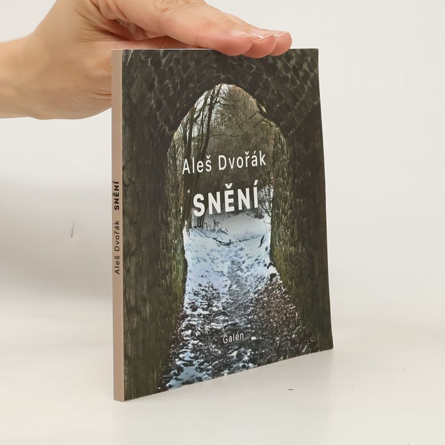 Aleš Dvořák Snění