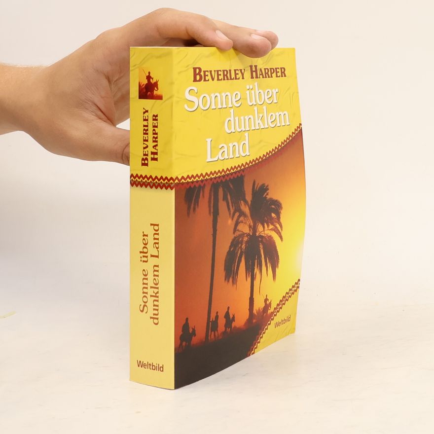Beverley Harper Sonne über dunklem Land
