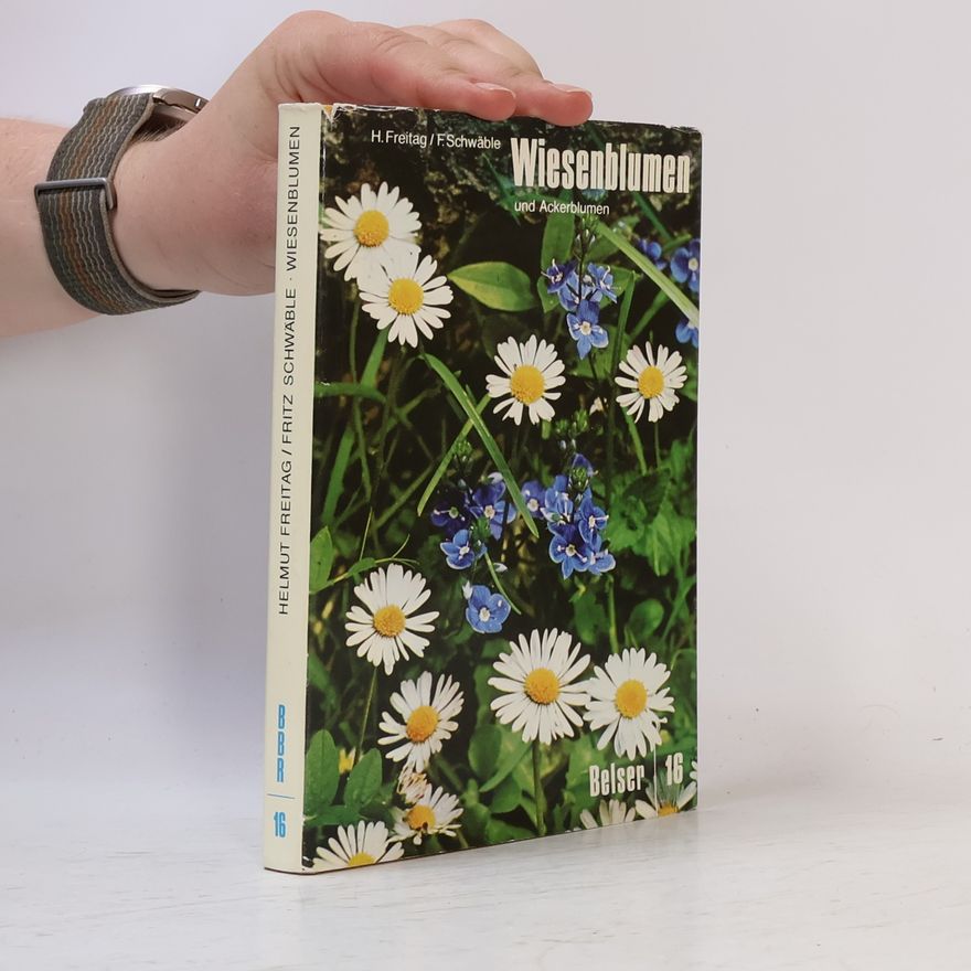 Fritz Schwäble Wiesenblumen und Ackerblumen