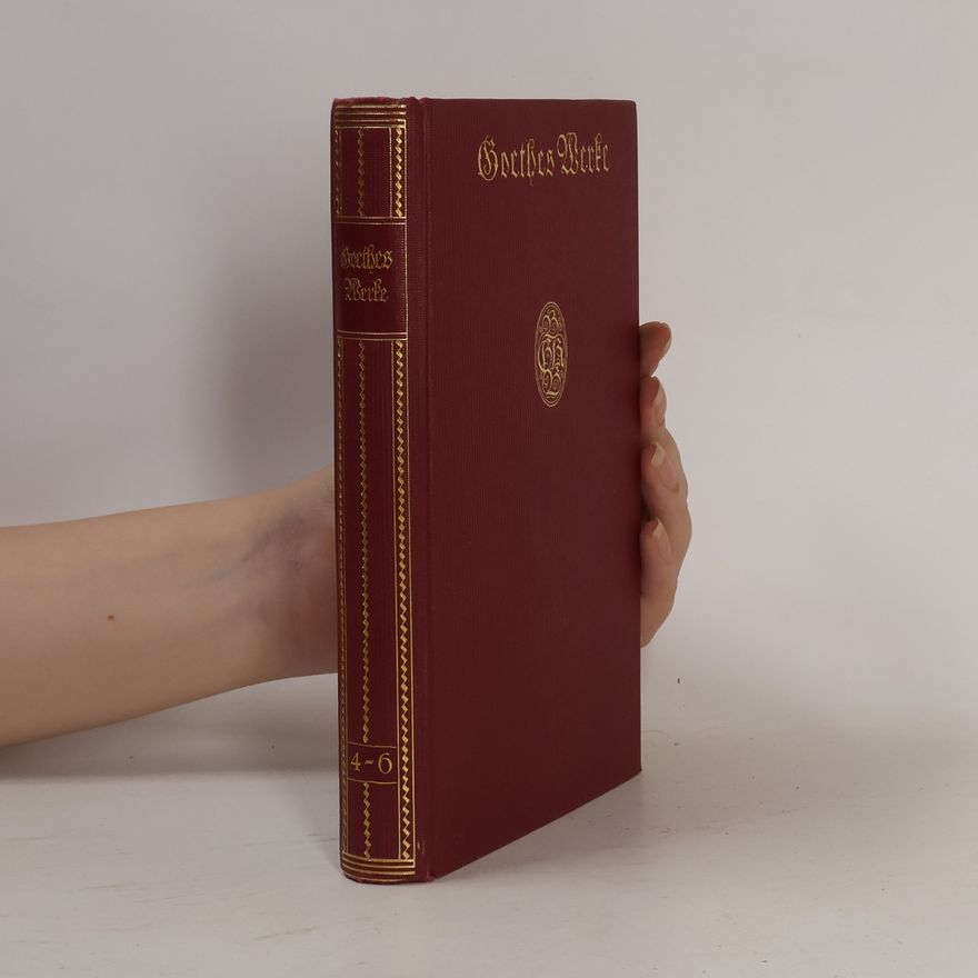 Robert Riemann Goethes Werke 4-6