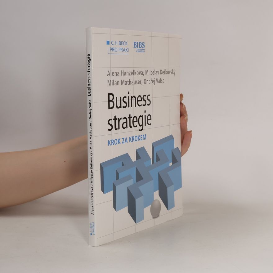 Ondřej Valsa Business strategie