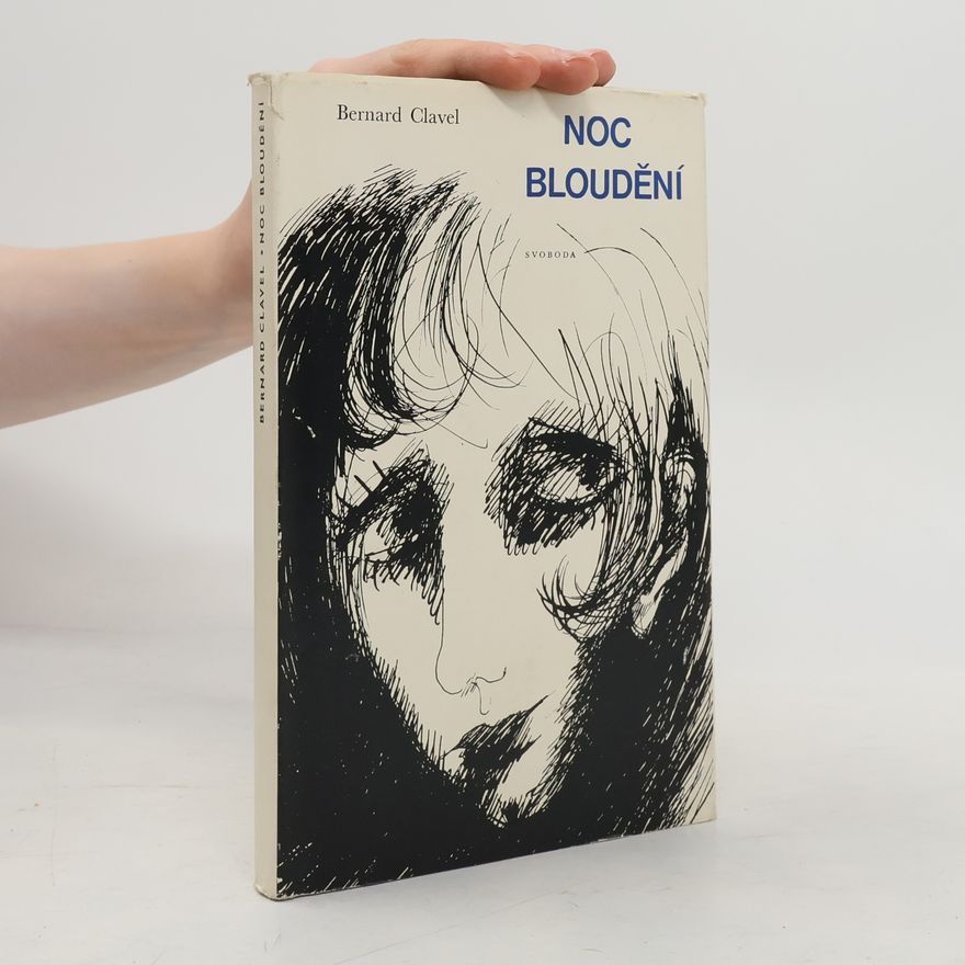 Marie Šupová Noc bloudění
