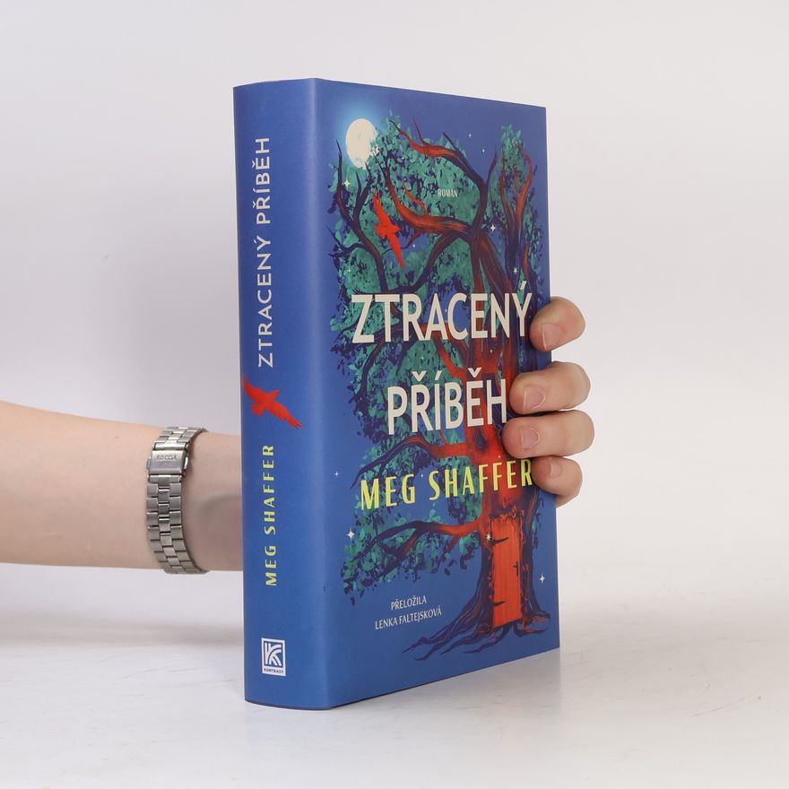 Meg Shaffer Ztracený příběh