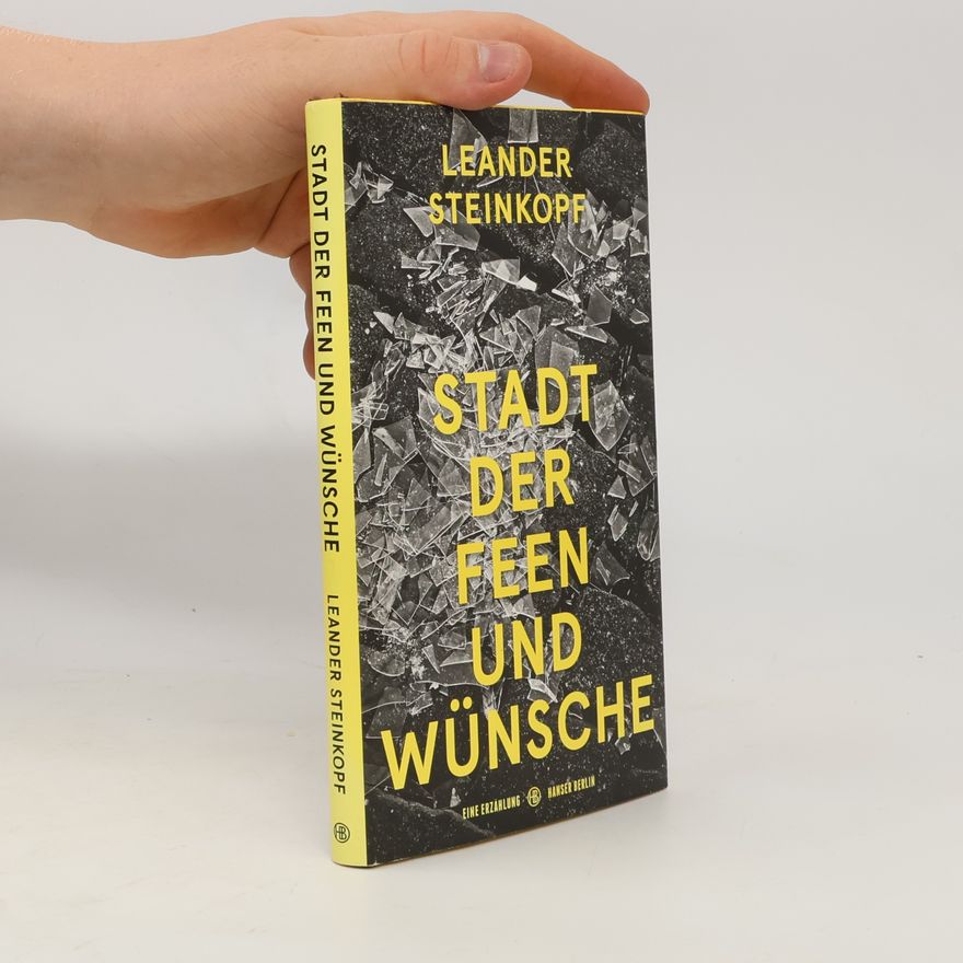 Leander Steinkopf Stadt der Feen und Wünsche