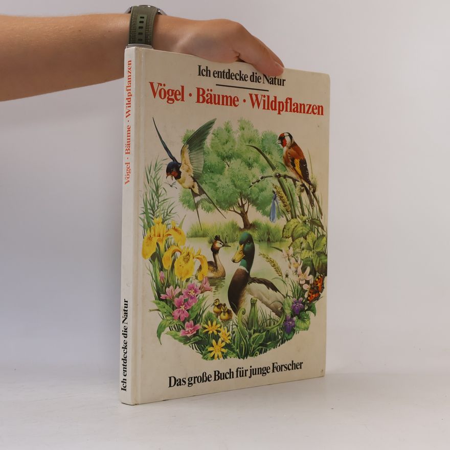 Autorenkollektiv Ich entdecke die Natur. Vögel, Bäume, Wildpflanzen