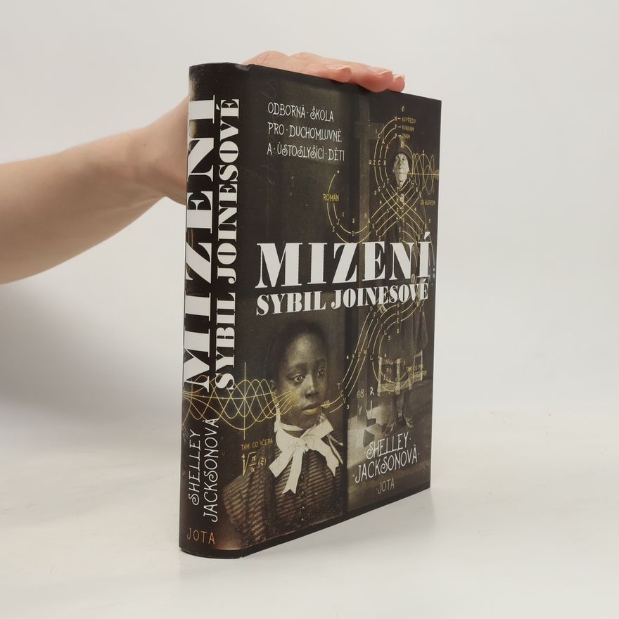 Shelley Jackson Mizení Sybil Joinesové