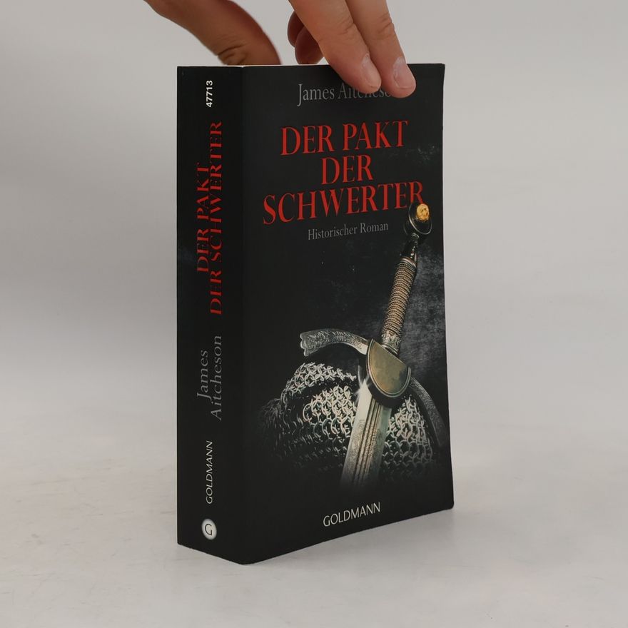 James Aitcheson Der Pakt der Schwerter