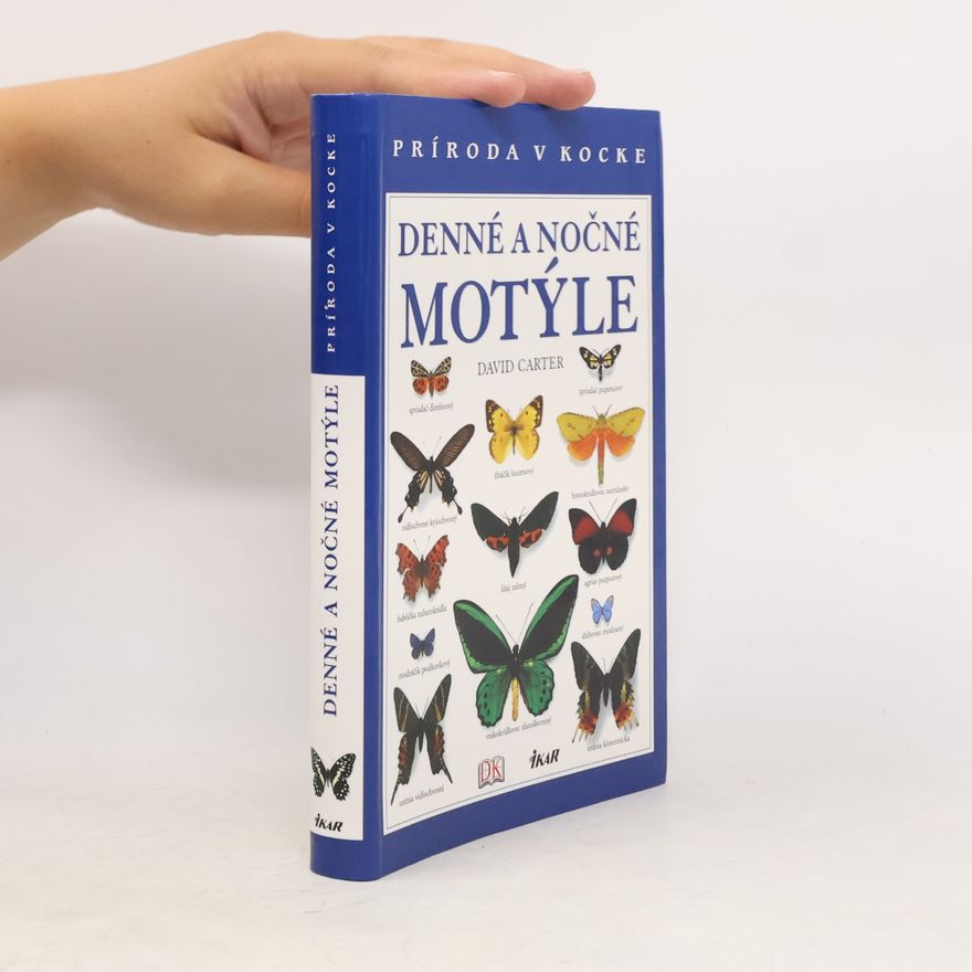 David Carter Denné a nočné motýle