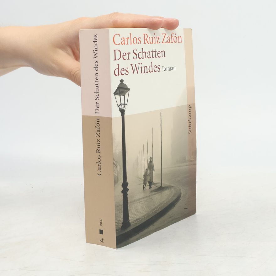 Carlos Ruiz Safon Der Schatten des Windes
