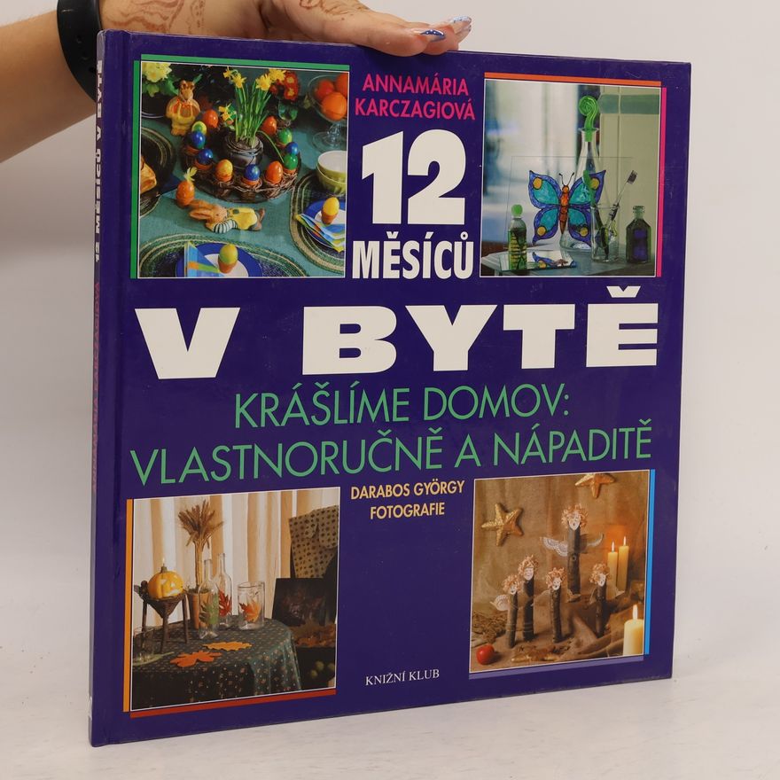 György Darabos 12 měsíců v bytě : krášlíme domov vlastnoručně a nápaditě