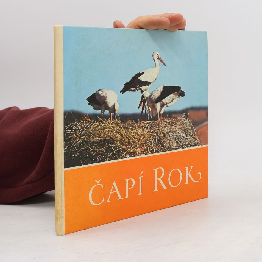 Claus Schönert Čapí rok. Čáp bílý, jak byl u nás pozorován a fotografován