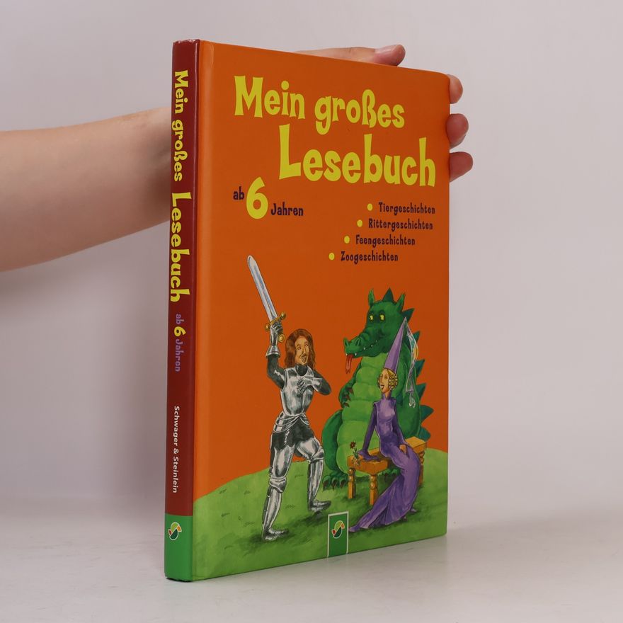Anke Breitenborn Mein großes Lesebuch ab 6 Jahren