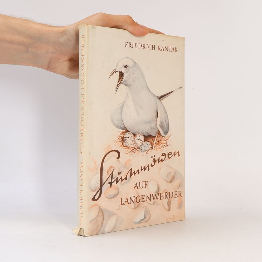 Friedrich Kantak Sturmmöwen auf Langenwerder