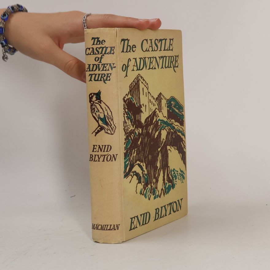 Enid Blyton The Castle of Adventure