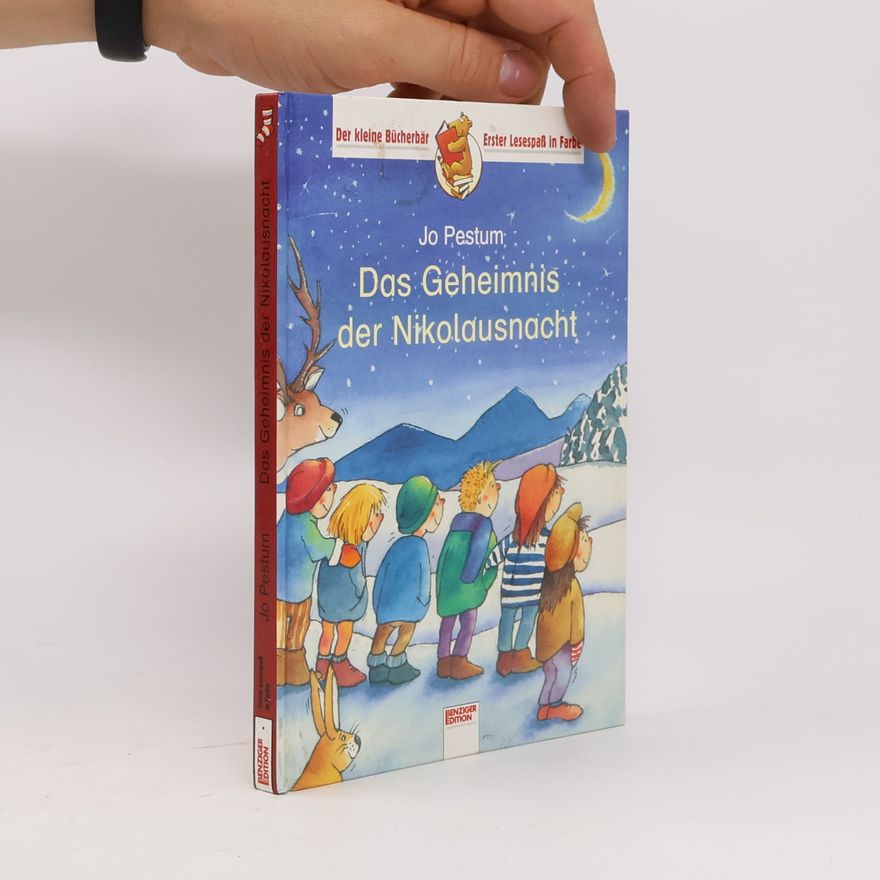 Jo Pestum Das Geheimnis der Nikolausnacht