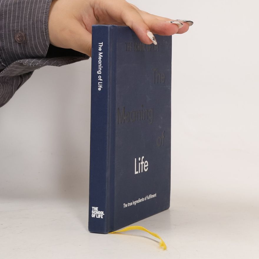 The School The School of Life The Meaning of Life