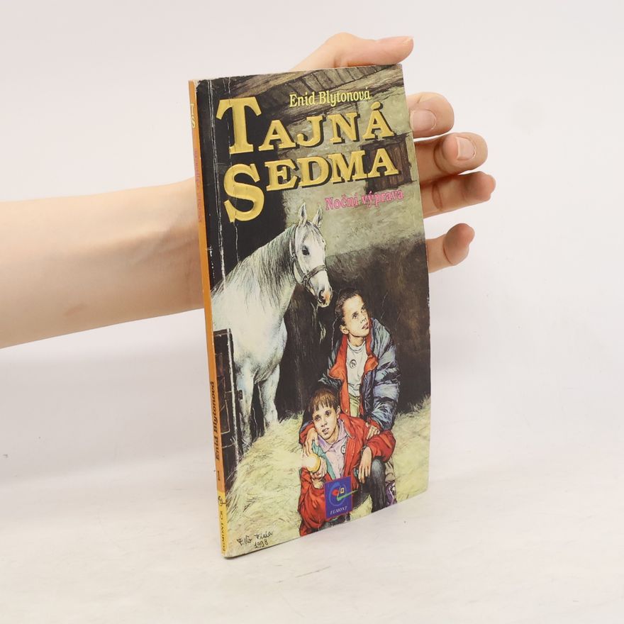 Enid Blyton Tajná sedma. Noční výprava