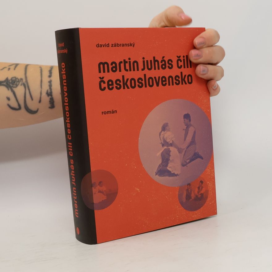 David Zábranský Martin Juhás, čili, Československo : román