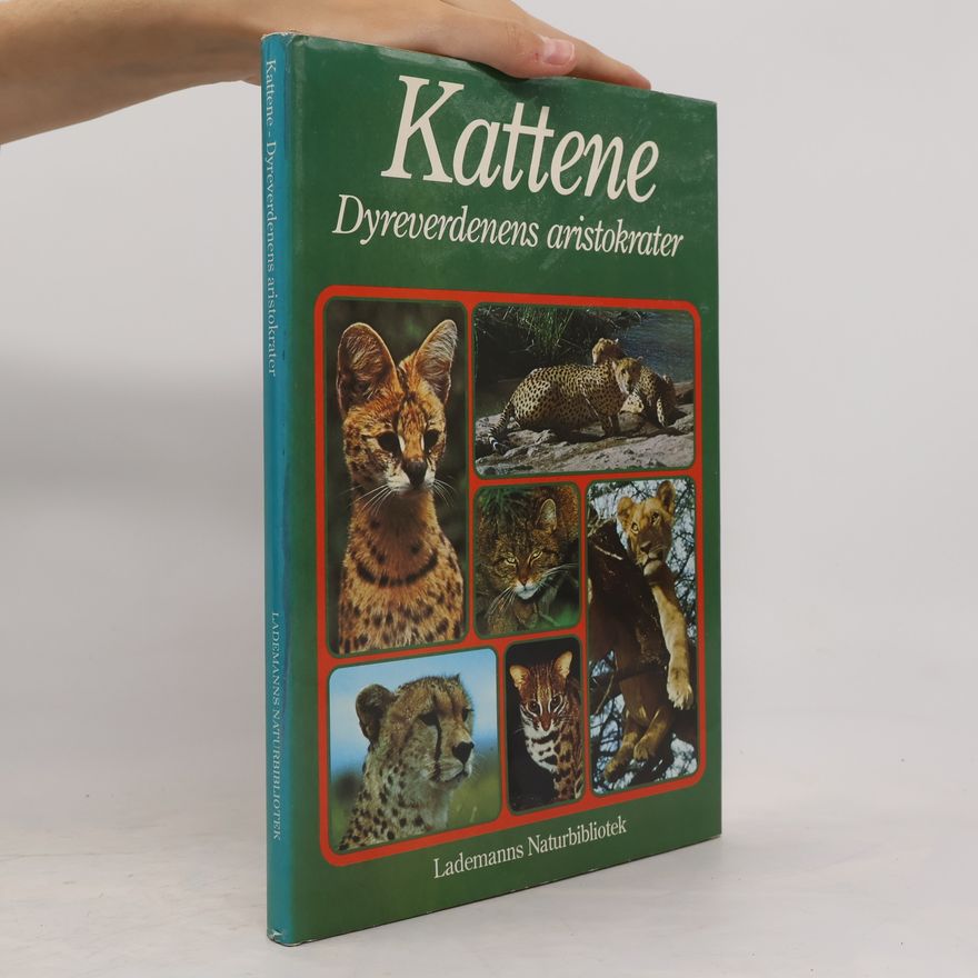 Guido Badino Kattene
