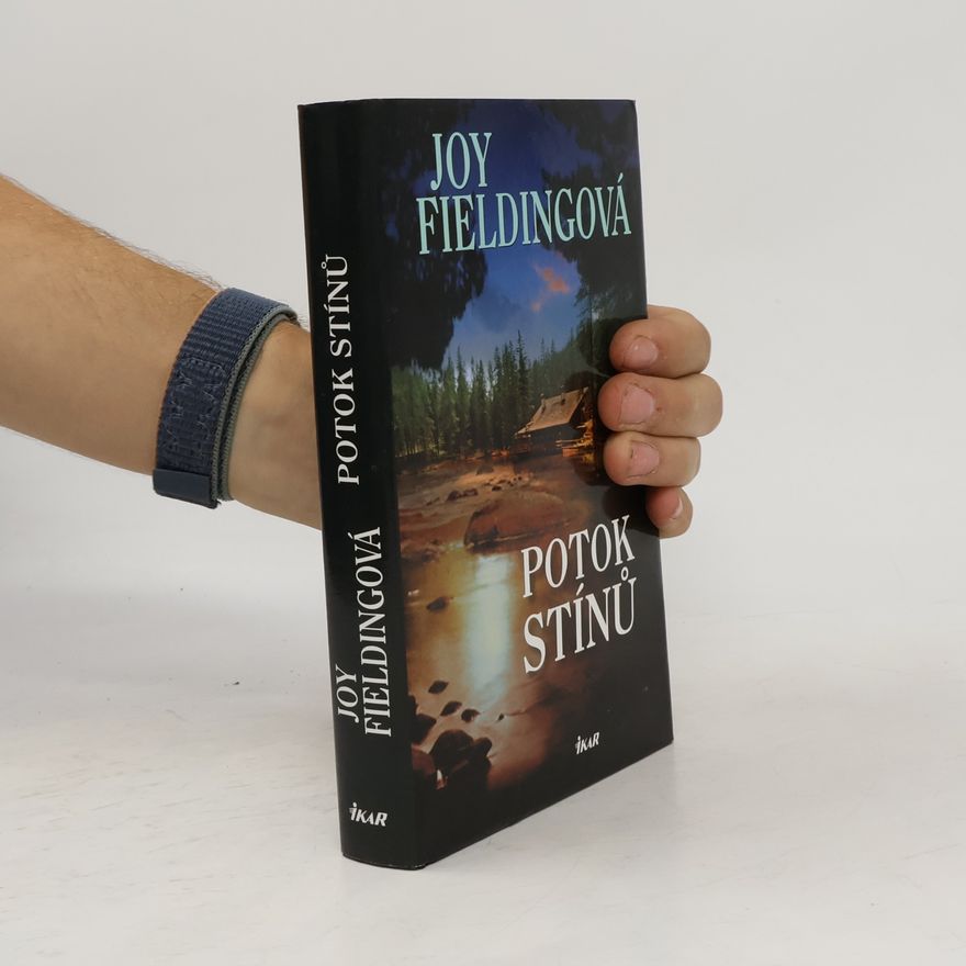 Joy Fielding Potok stínů