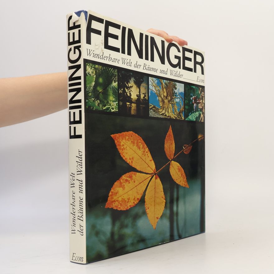 Andreas Feininger Wunderbare Welt der Bäume und Wälder
