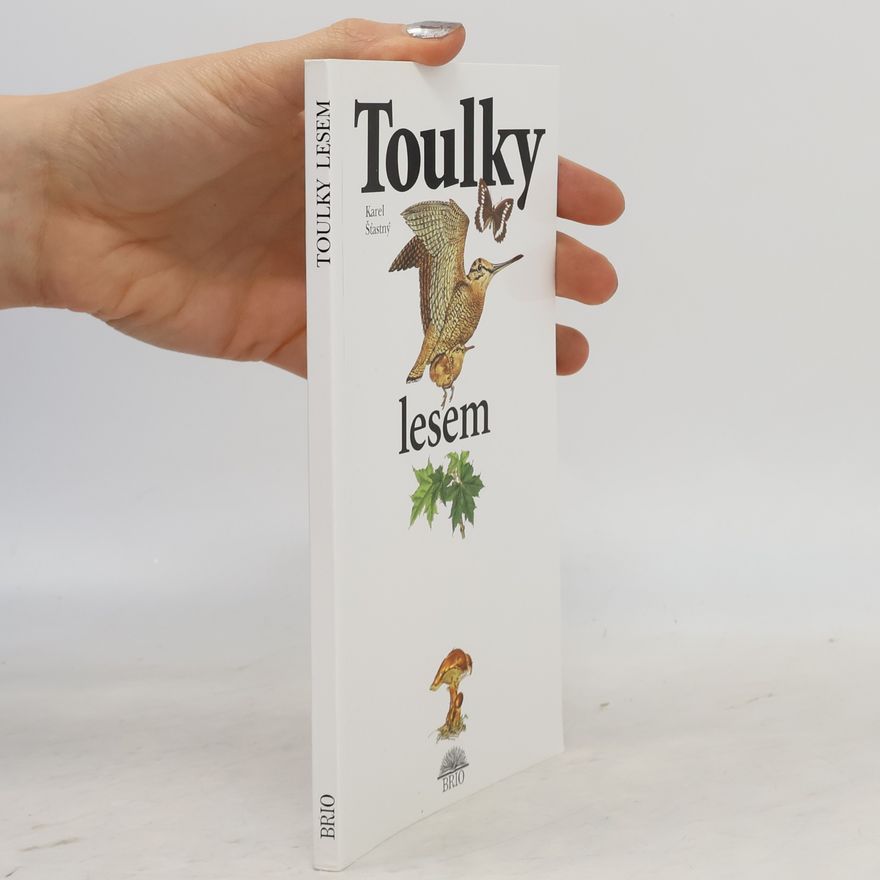 Eva Beberová Toulky lesem