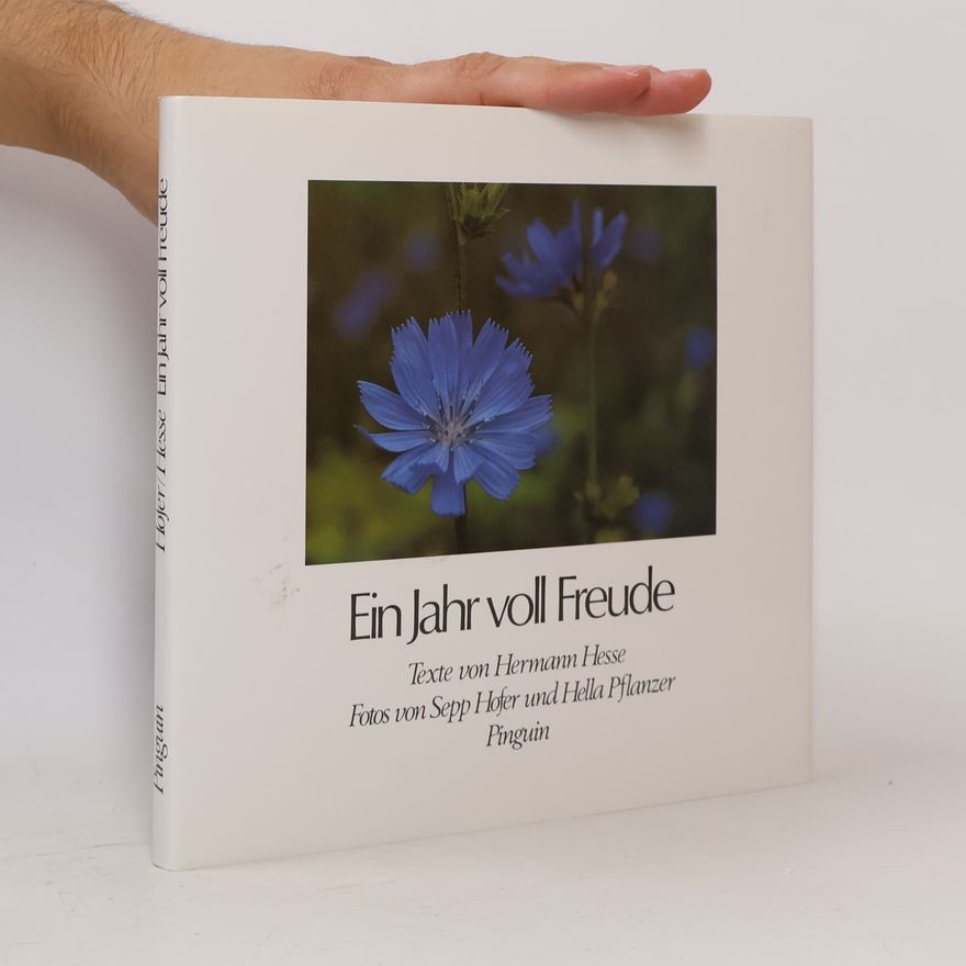 Hermann Hesse Ein Jahr voll Freude