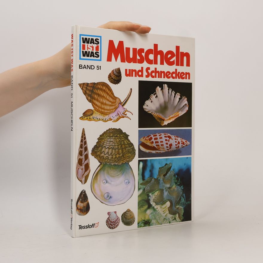 Walter Hähnel Muscheln und Schnecken