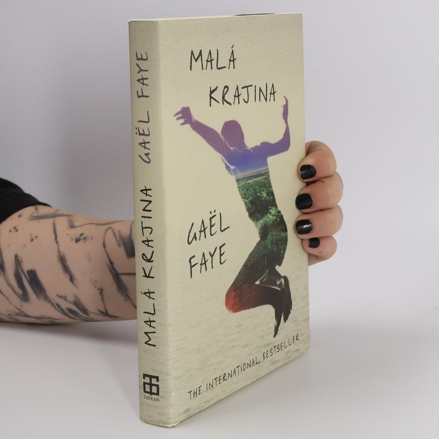 Gaël Faye Malá krajina