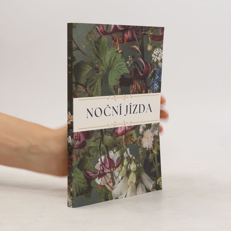 Kateřina Stříbrná Noční jízda