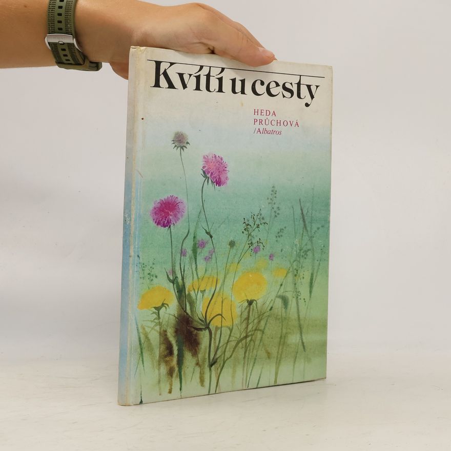 Průchová Heda Kvítí u cesty