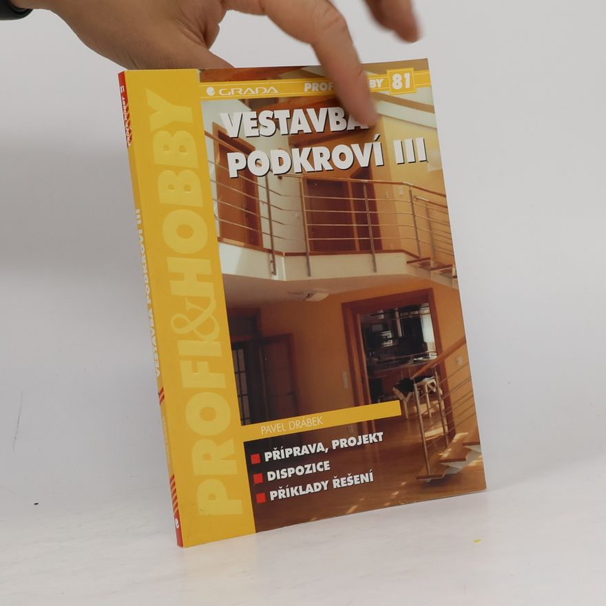 Pavel Drábek Vestavba podkroví III