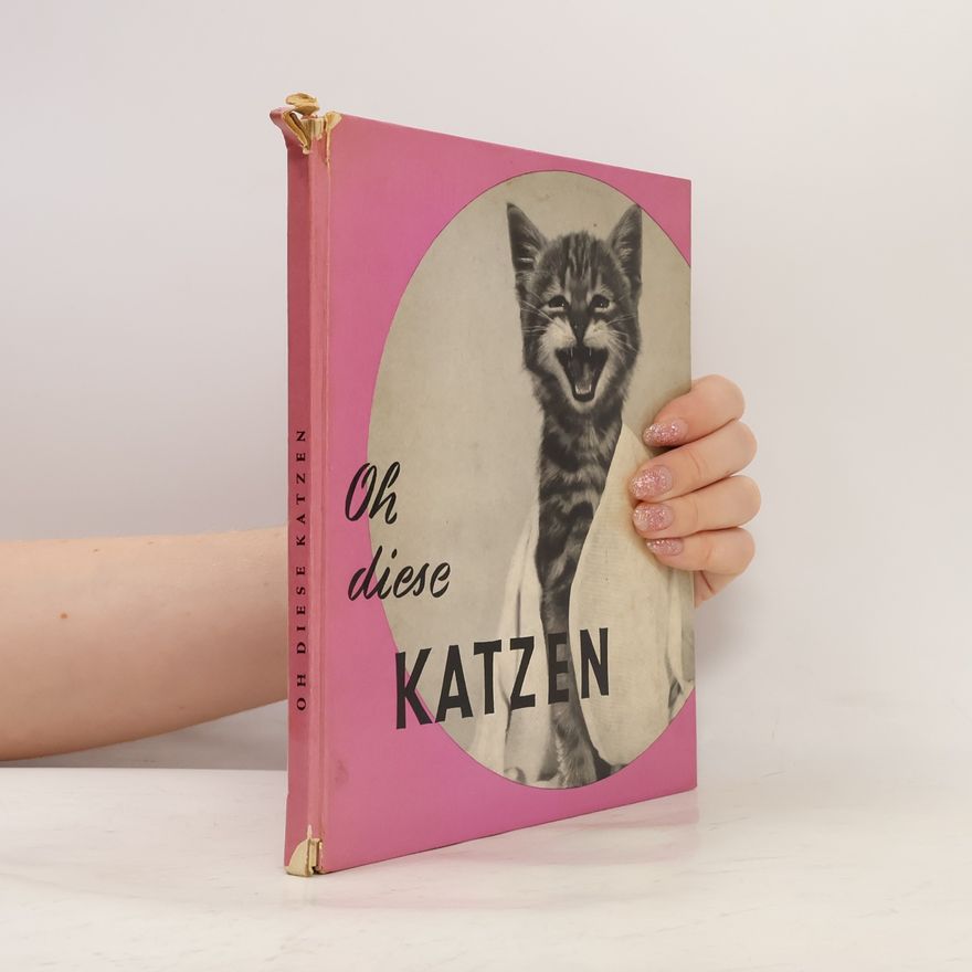 Autorenkollektiv Oh diese Katzen