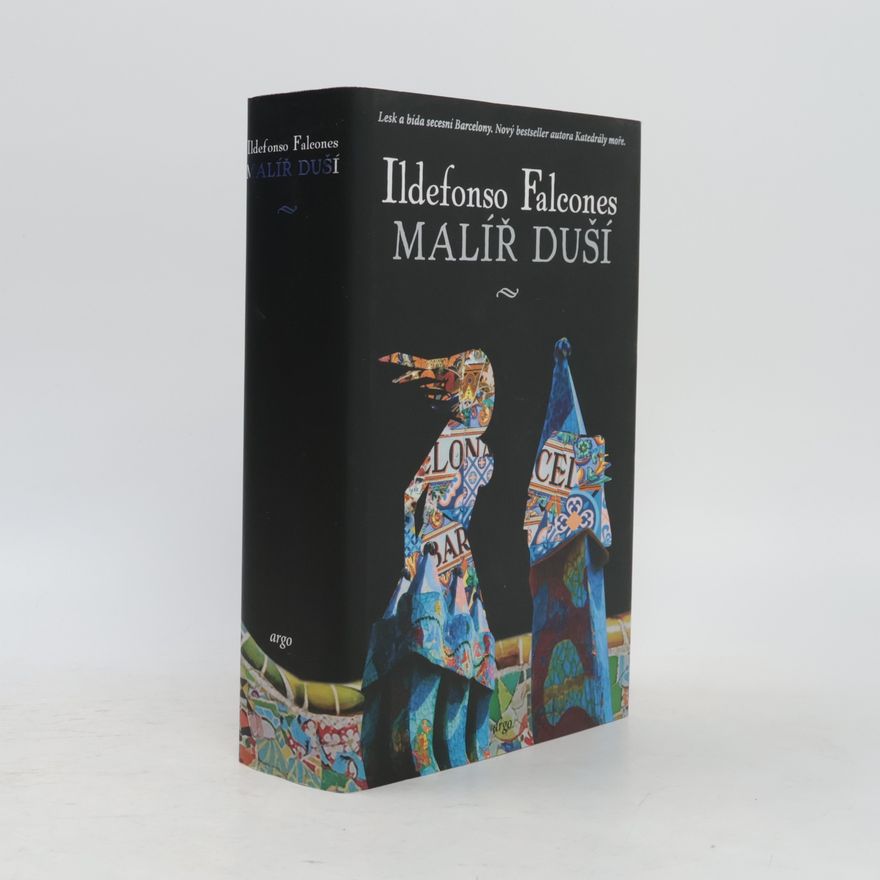 Ildefonso Falcones Malíř duší
