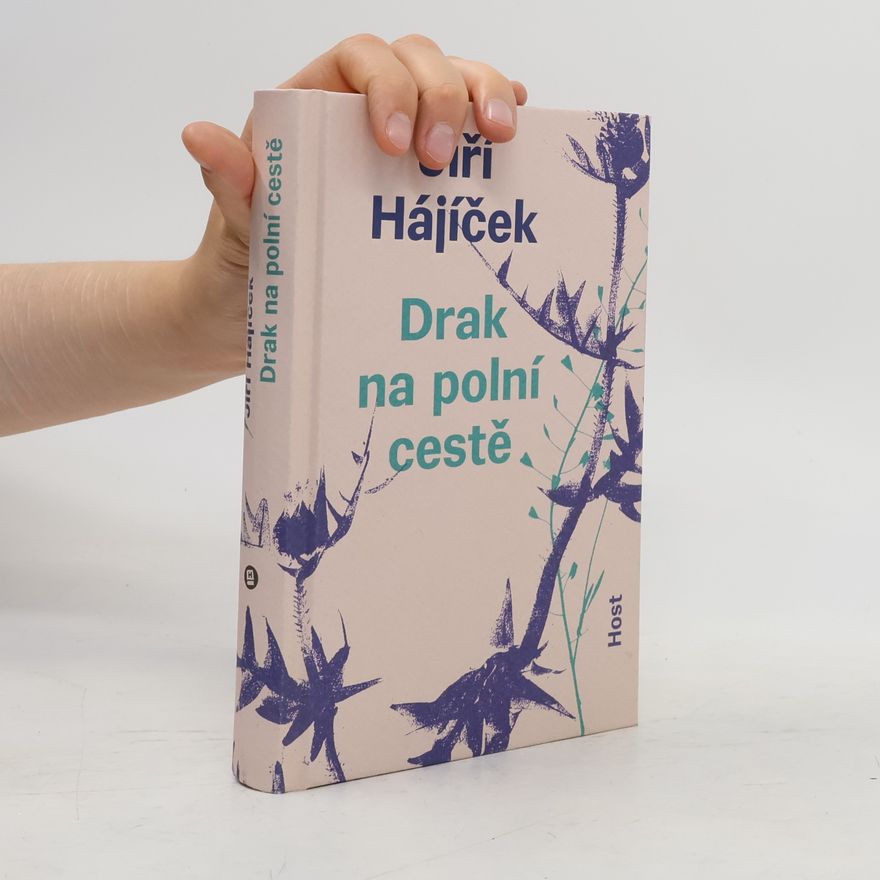 Jiří Hájíček Drak na polní cestě