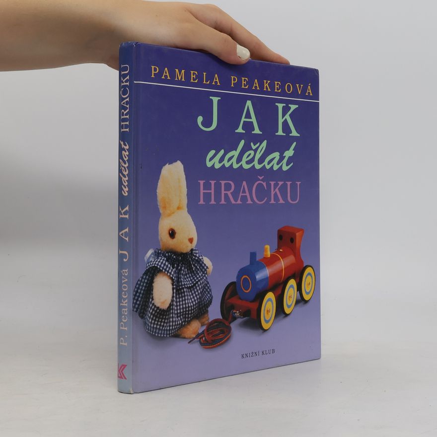 Petr Hejný Jak udělat hračku