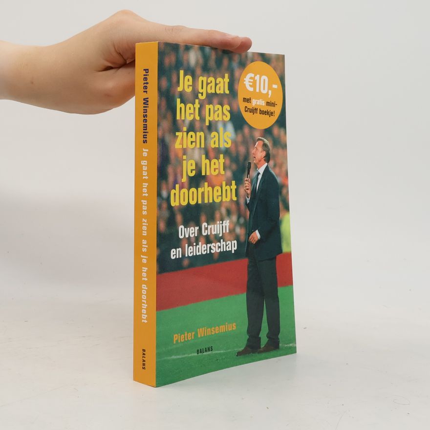 Pieter Winsemius Je gaat het pas zien als je het doorhebt
