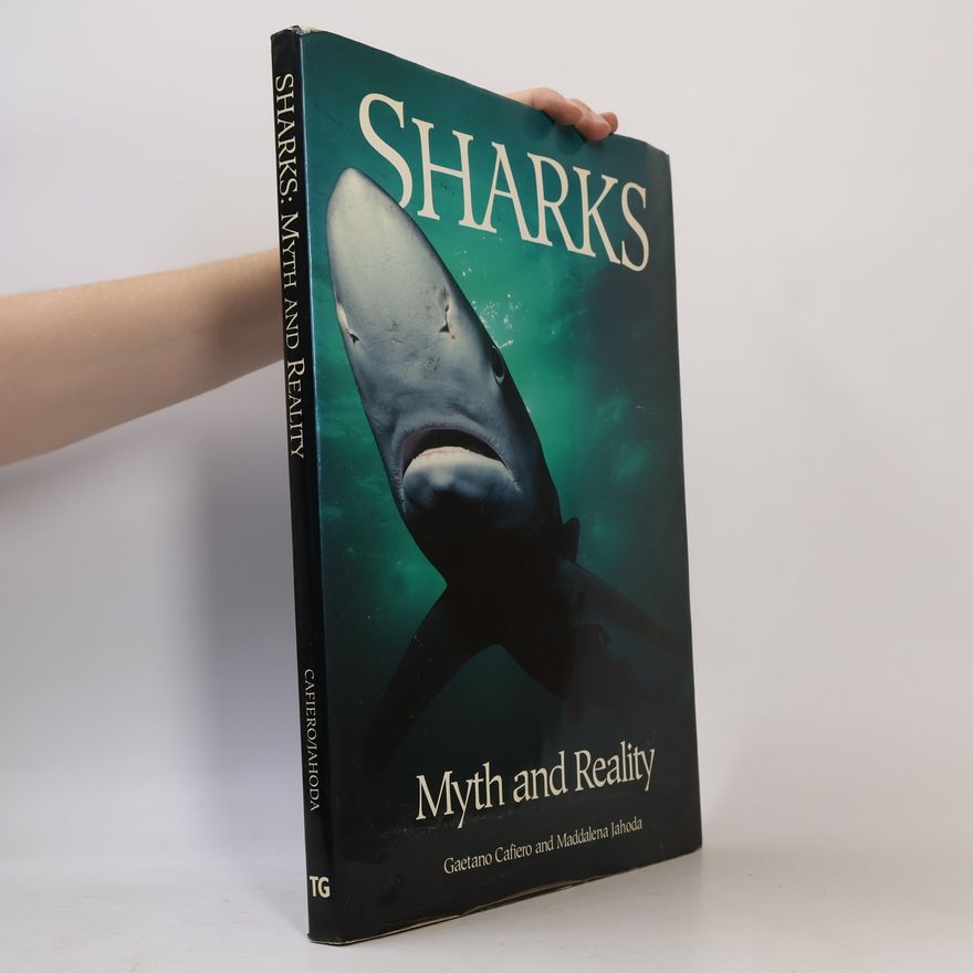Maddalena Jahoda Sharks