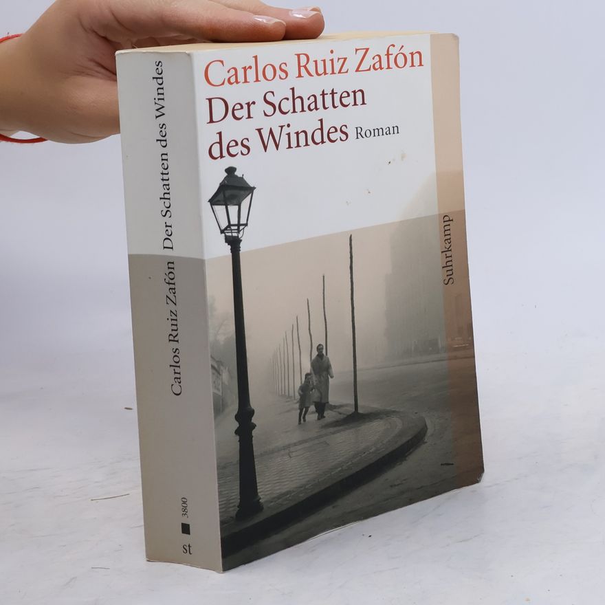 Carlos Ruiz Safon Der Schatten des Windes