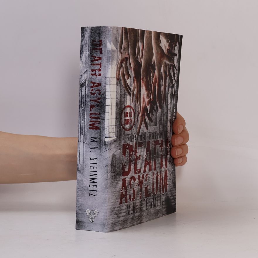 M. H. Steinmetz Death Asylum - totes Land - ein interaktiver Roman