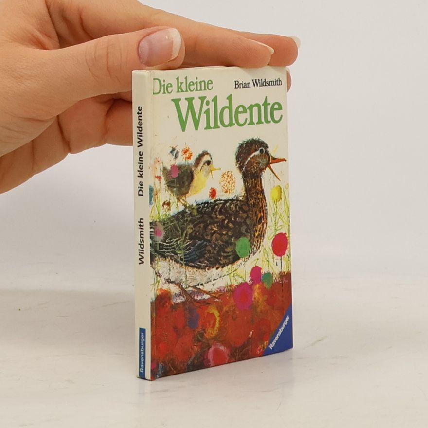 Brian Wildsmith Die kleine Wildente